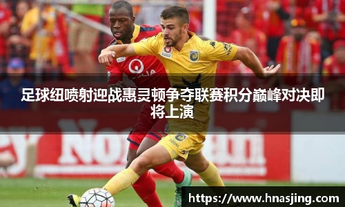 k8足球纽喷射迎战惠灵顿争夺联赛积分巅峰对决即将上演